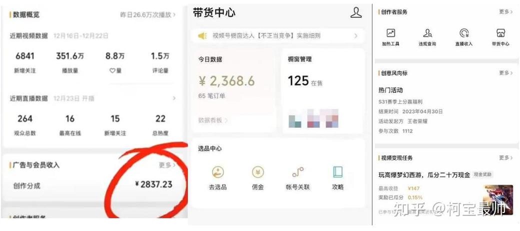 如何在多个平台上发布视频以最大化收益？
