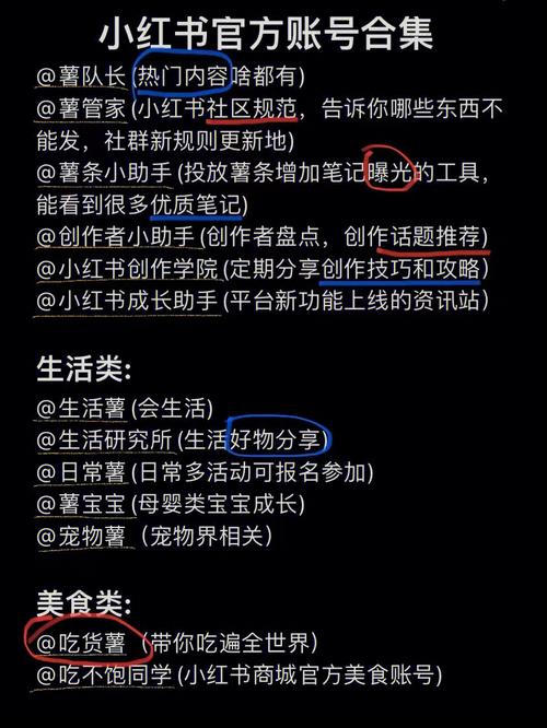 如何在小红书上高效批量整理图文内容？