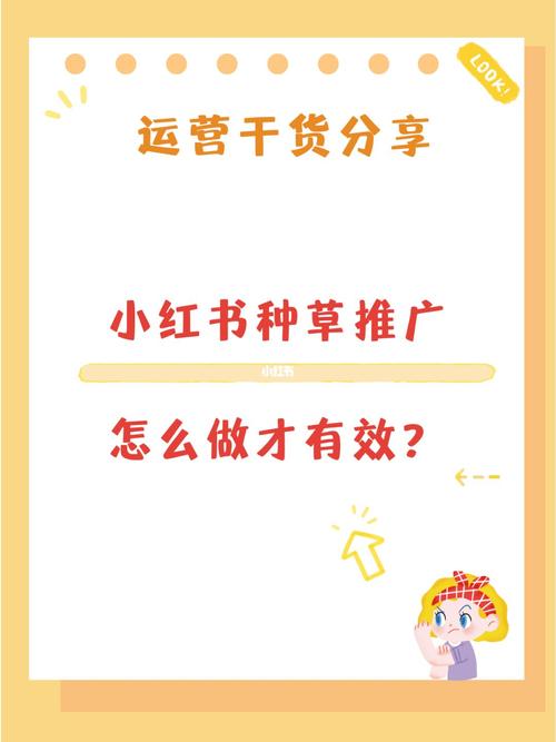 小红书图文如何推广流量?图文推广流量叫什么?