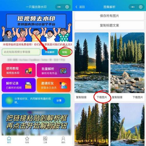 拍抖音为什么有水印?抖音水印如何设置?