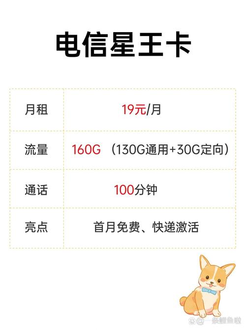 流量月租卡日租卡