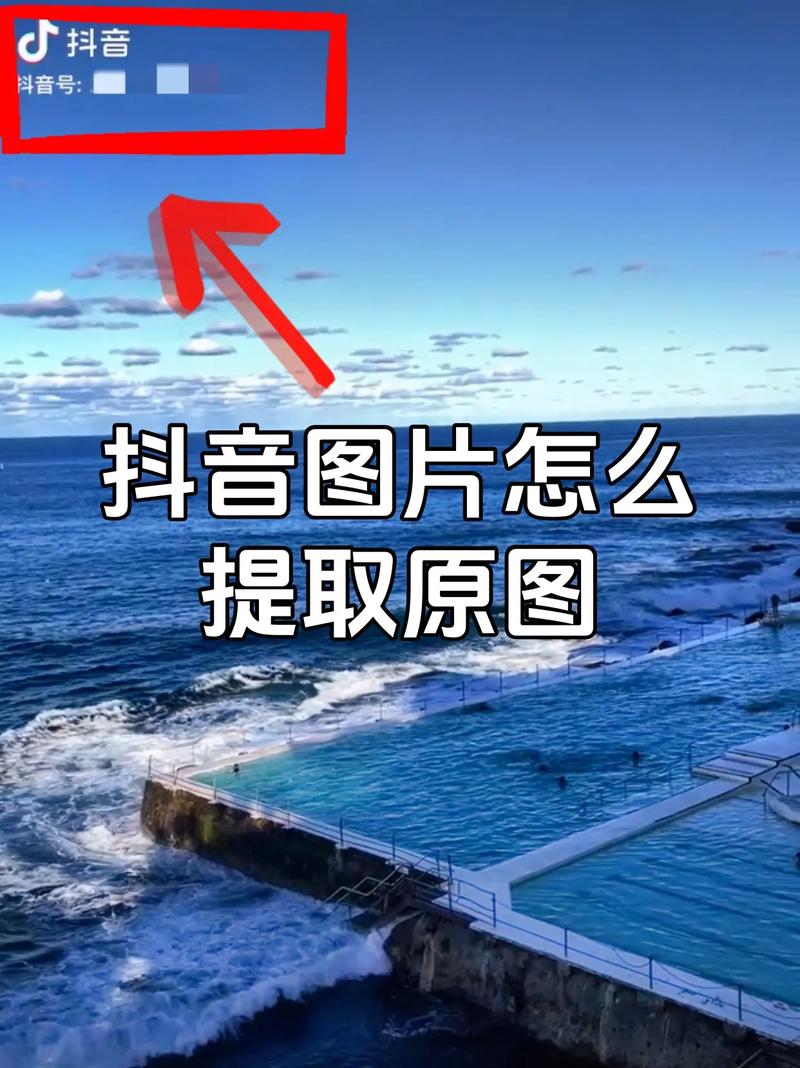 如何在抖音中保存并放大查看评论中的图片？