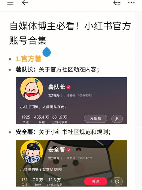 如何高效管理多个自媒体账号并实现收益提现？