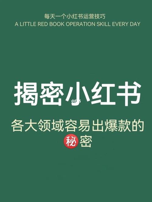 如何做出小红书图文?小红书图文怎么赚钱?