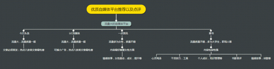 新手自媒体人该如何选择发布平台并开始他们的创作之旅？