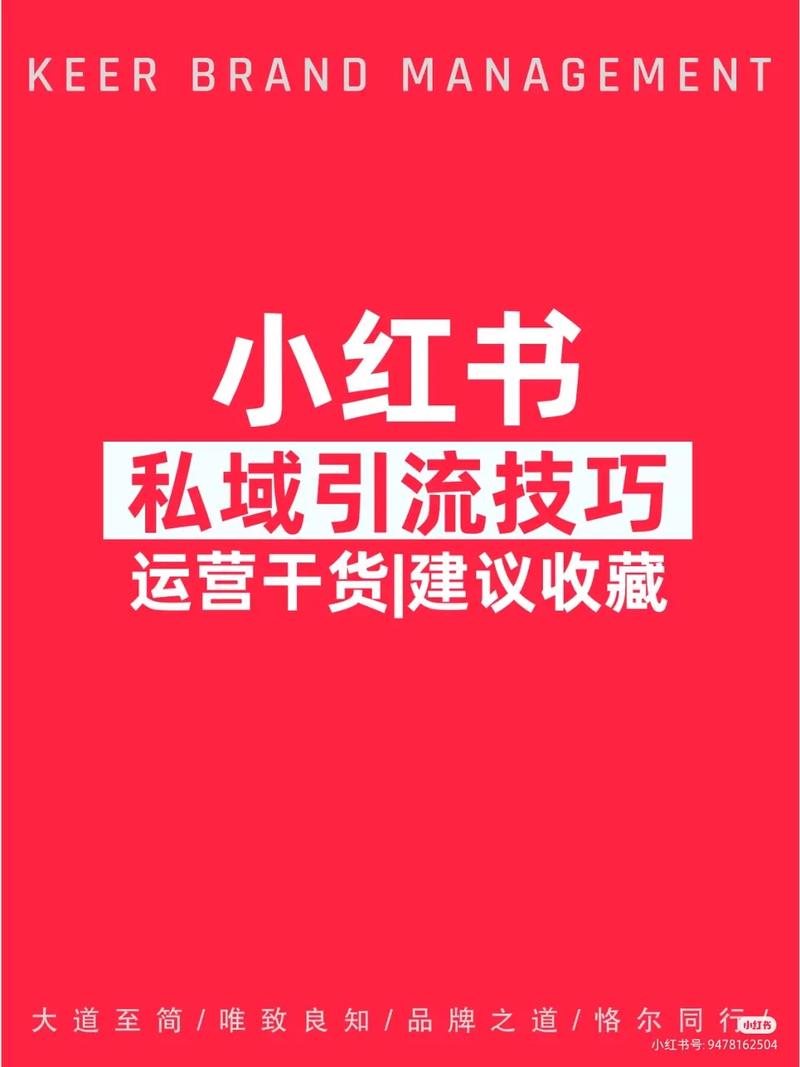 如何高效利用小红书发布图文内容并快速吸引流量？