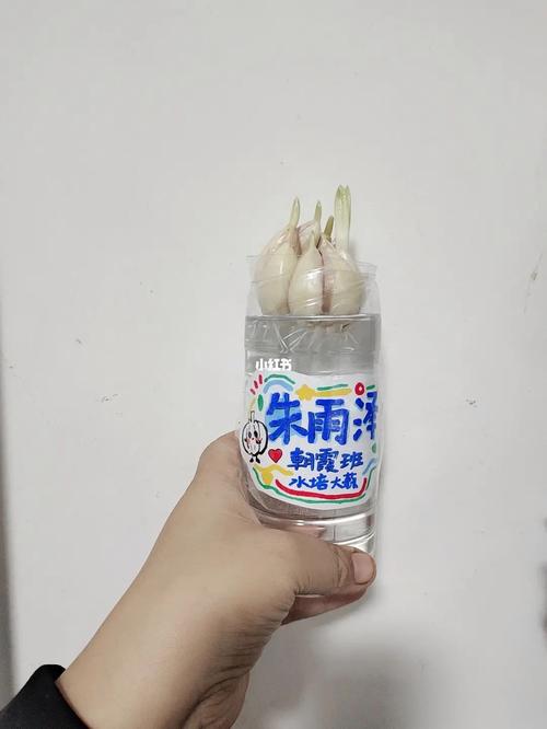小红书标签如何制作?小红书上的标签怎么打?