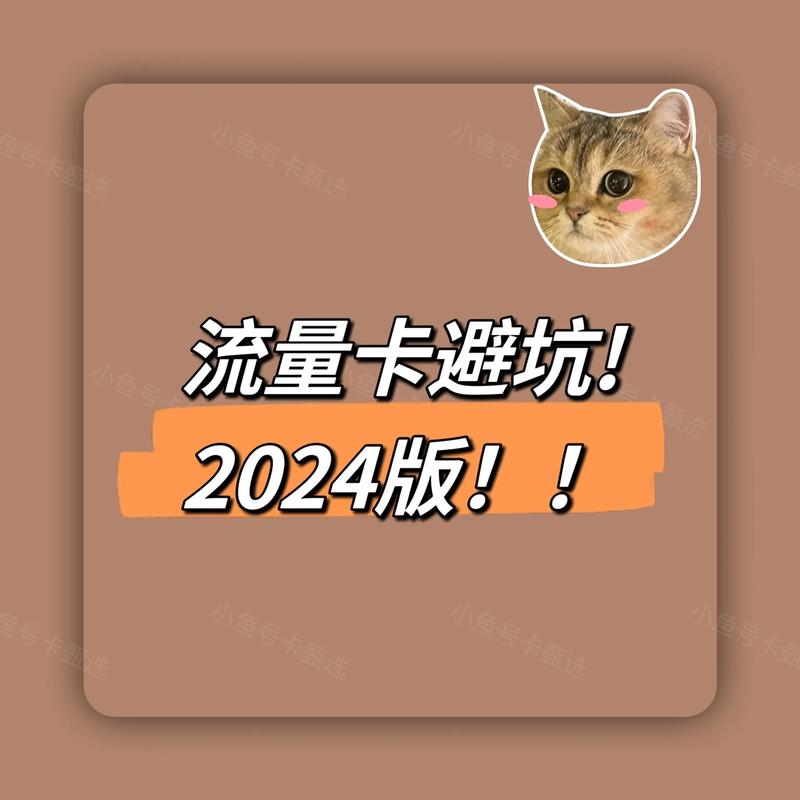 阿里小鱼卡 超出流量