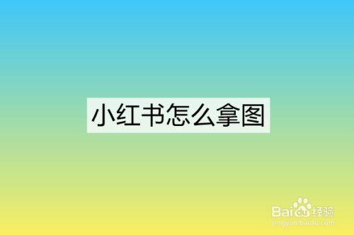如何仅浏览小红书平台上的图文内容？