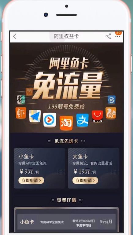 阿里鱼卡 全国流量