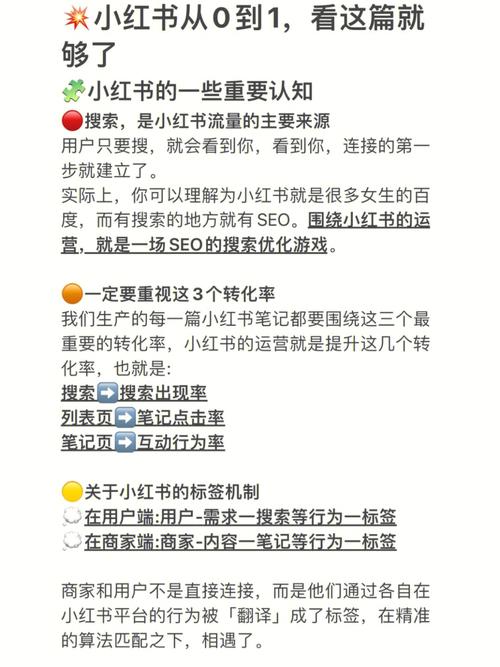 如何设置小红书标签分类?小红书分类标签怎么改?