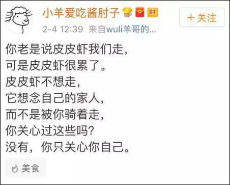 皮皮虾评论怎么查看?评论数如何提升?