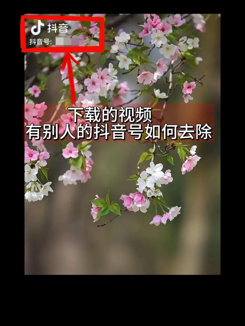 如何重新在抖音作品中添加水印？