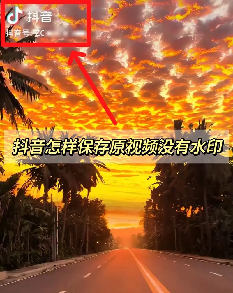 为什么抖音的水印这么小？有水印和无水印的区别