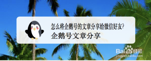 怎么做企鹅号文章?企鹅号如何创作?