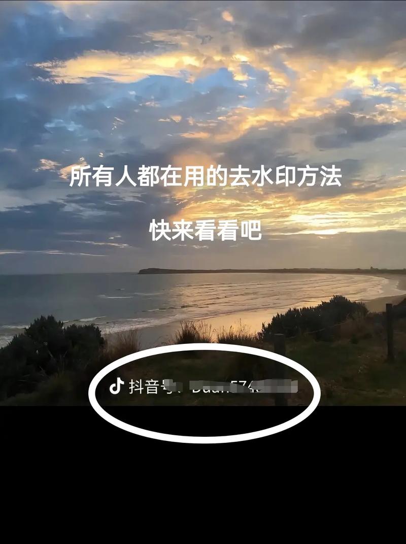 抖音去水印为什么还在?去抖音水印软件