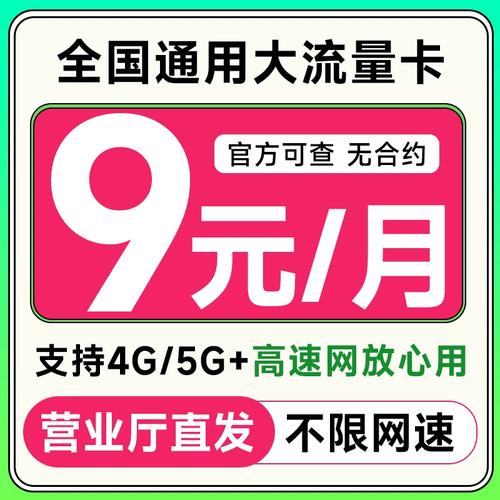 联通大王卡多流量