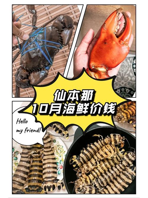 皮皮虾浏览量如何查看?浏览量如何增加?