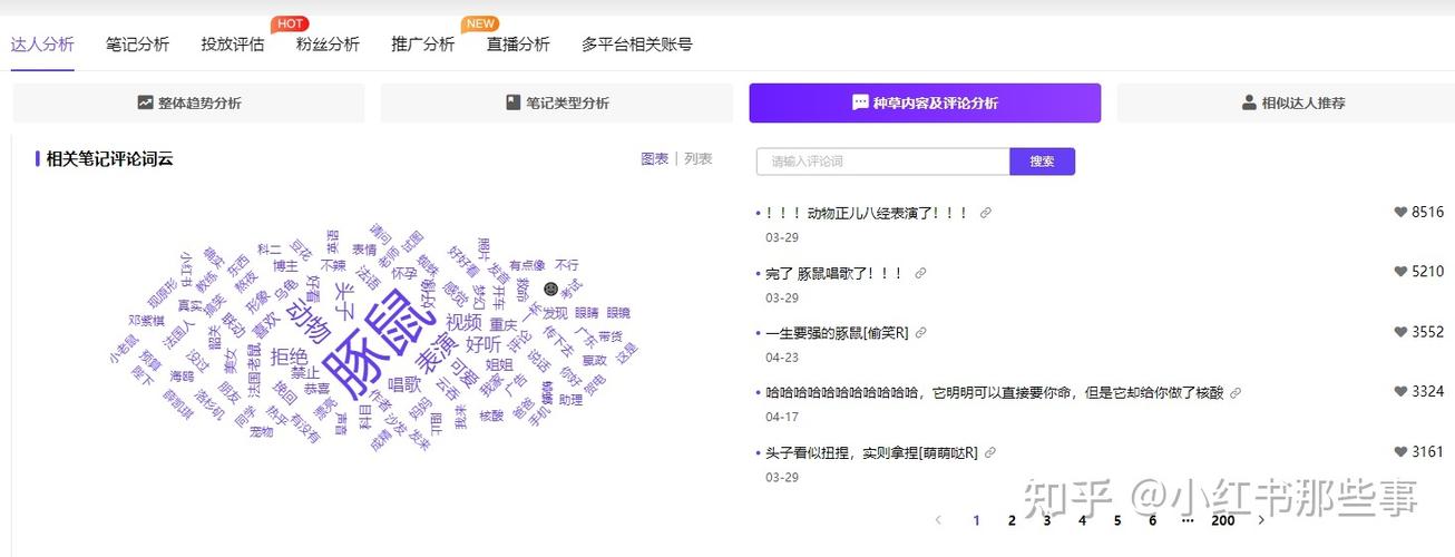 小红书粉丝数量怎样查看?粉丝数量怎么增加?