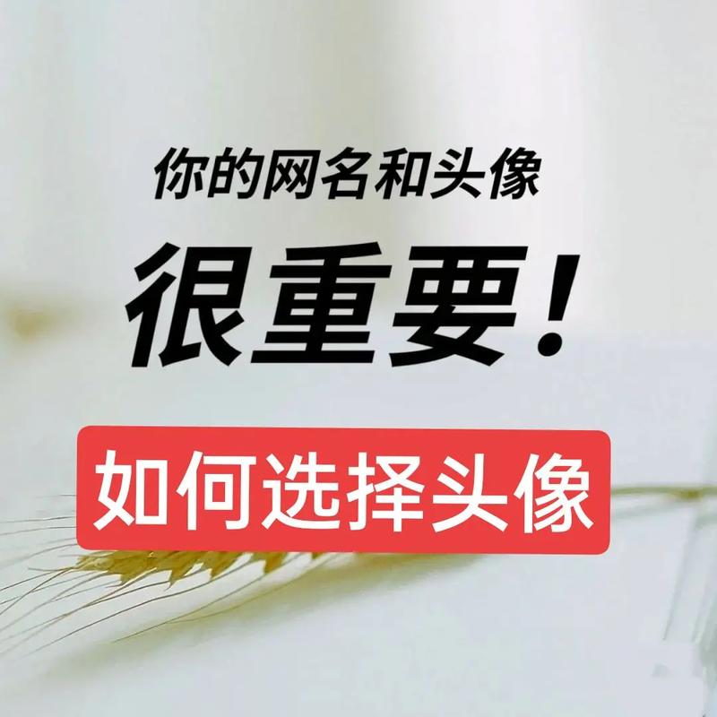 企鹅号头像怎样选择?头像如何更换?