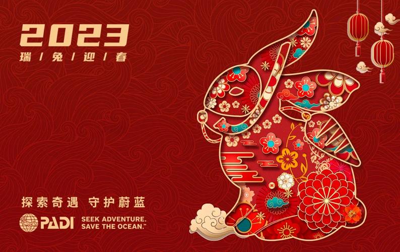 兔年限定流量卡