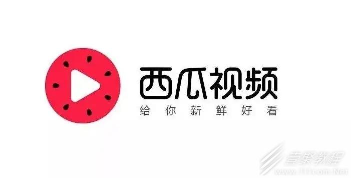 秒拍播放量怎么增加？播放量如何查看？