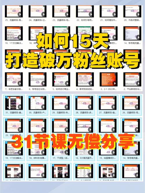 如何提升全民小视频的粉丝量并查看粉丝数的完整指南？