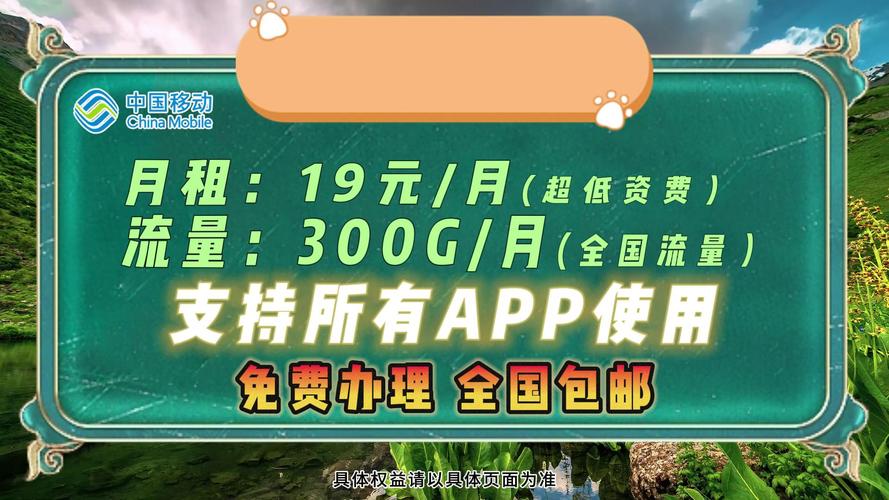 兔年限定流量卡