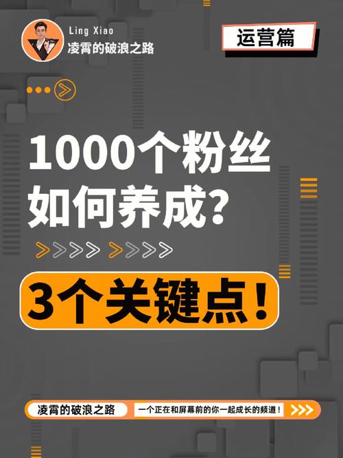 如何有效增加今日头条的粉丝数，并准确查看粉丝数量？