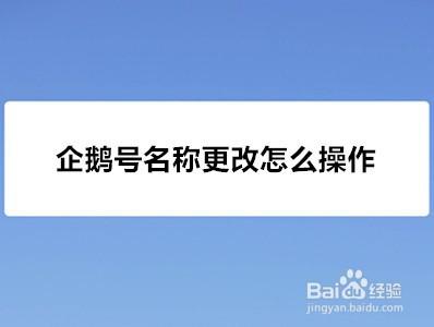 企鹅号粉丝数怎样查看？企鹅号粉丝有用吗？
