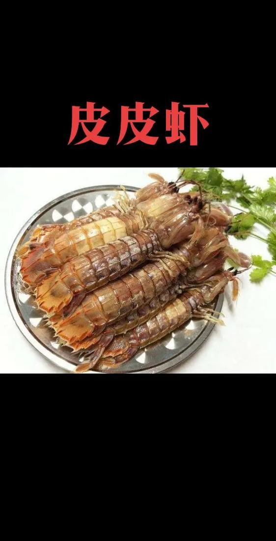 皮皮虾简介该怎么写?账号简介有什么用?