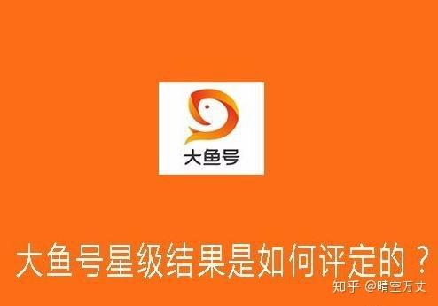 大鱼号介绍怎么填写?介绍有什么用?