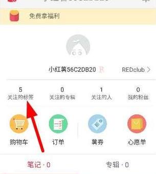 小红书标签怎样查看?标签类型有哪些?
