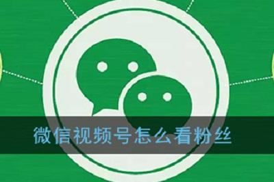 企鹅号粉丝数量如何看？粉丝数量怎么增加？
