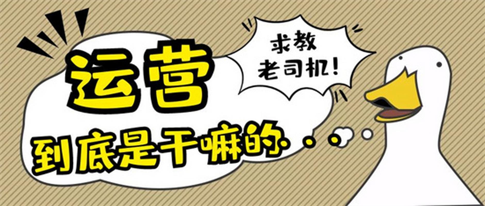 企鹅号的粉丝怎么来的?企鹅号怎么做?