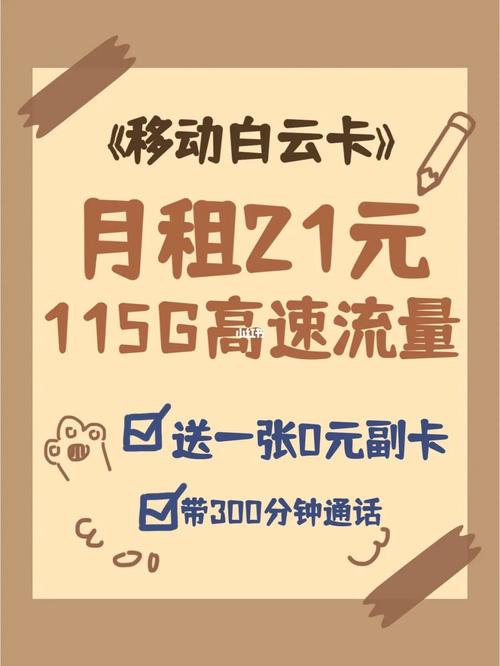 纯流量卡做副卡