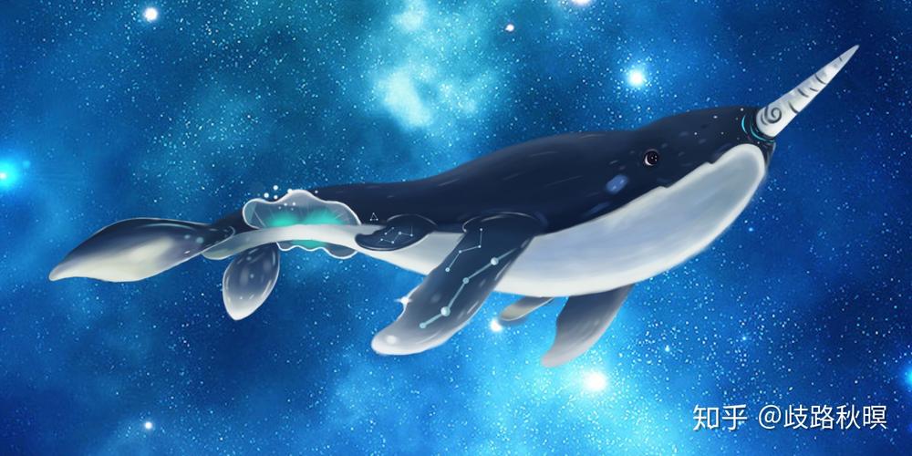 如何提升大鱼号的星级，并且这些星级具体有哪些实际用途？