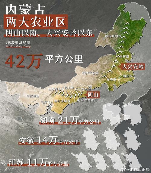 微博文章如何发表?文章发布规则有哪些?