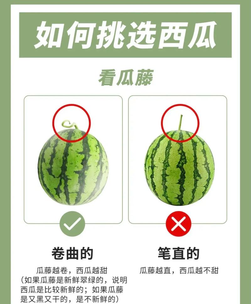 西瓜视频封面怎样选择?封面如何设计?