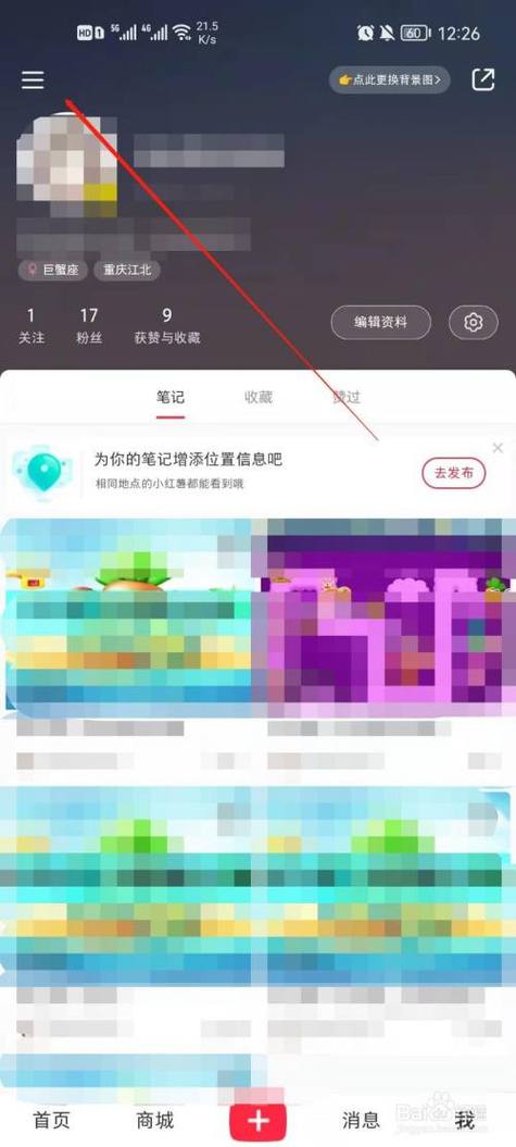 如何打造小红书合集并了解其独特价值？