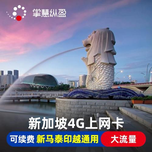 电话卡流量卡 新加坡
