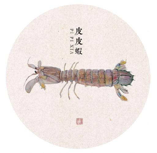 皮皮虾作品如何发布?发布要求有哪些?
