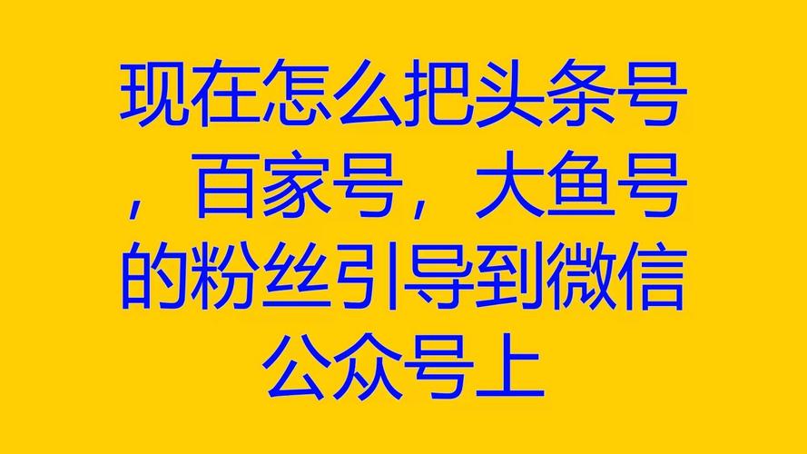 大鱼号粉丝数怎么提高?粉丝数如何查看?