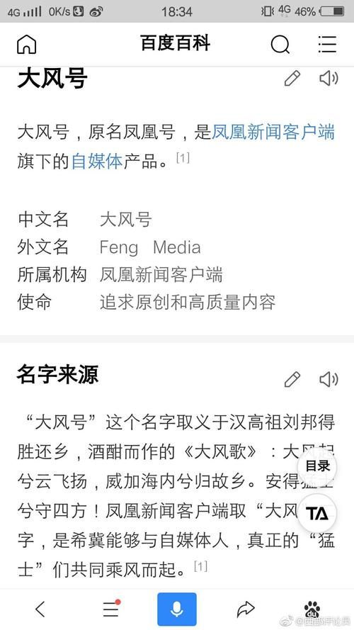 如何撰写引人入胜的大风号简介，并确定其理想字数？
