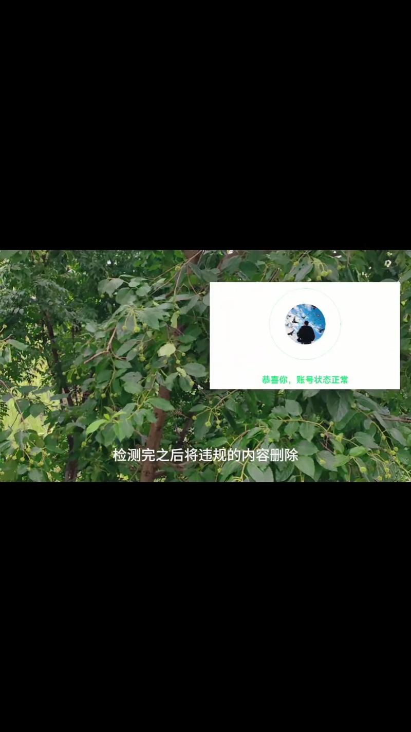如何提升全民小视频的观看次数，并查看播放量数据？