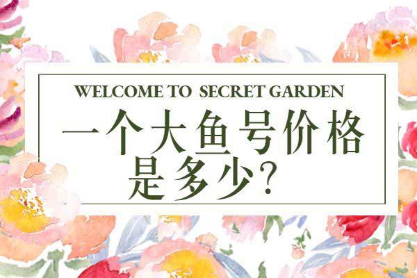 大鱼号的粉丝怎样增加?增加技巧有哪些?