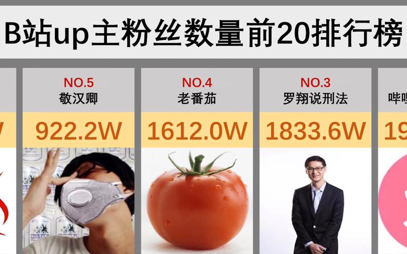 哔哩哔哩粉丝人数如何增加?粉丝数怎么看?