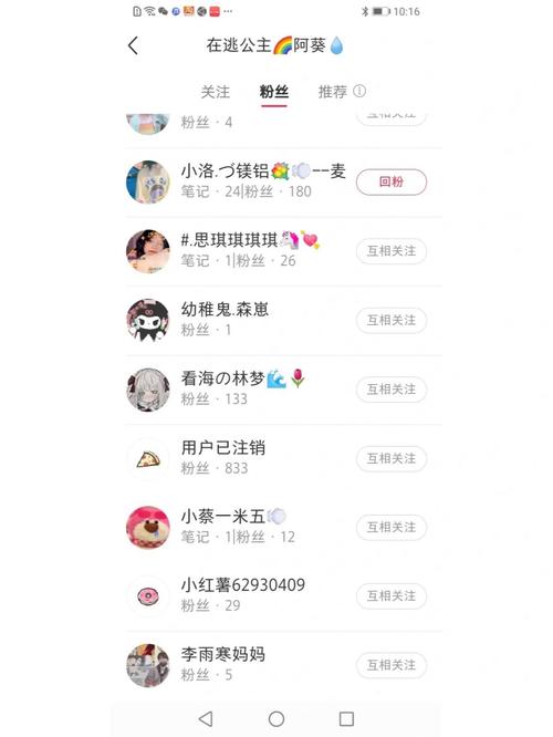 小红书粉丝数怎么增加？粉丝数如何查看？
