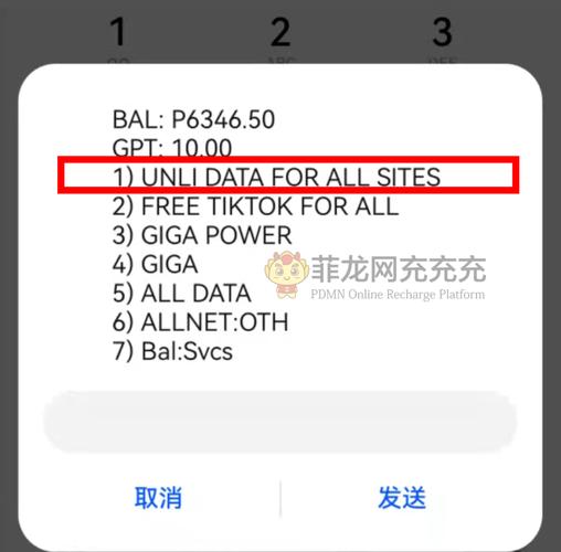 菲律宾卡怎么查询流量