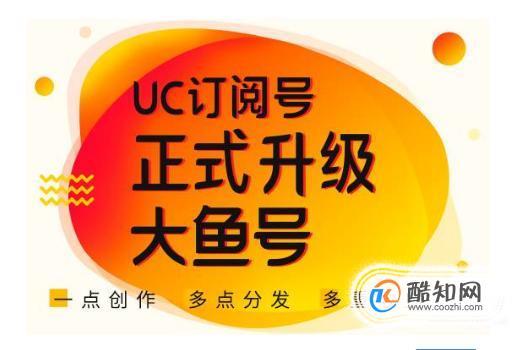 大鱼号粉丝怎样涨？粉丝数在哪看？